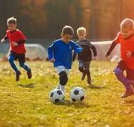 非洲足球盛,摩洛哥昨日,豪取,JBO竞博官网,JBO竞博官网入口,JBO竞博网站,JBO竞博官网娱乐,JBO竞博,JBO竞博登录入口