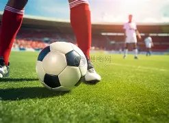非洲足球盛,摩洛哥昨日,豪取,JBO竞博官网,JBO竞博官网入口,JBO竞博网站,JBO竞博官网娱乐,JBO竞博,JBO竞博登录入口
