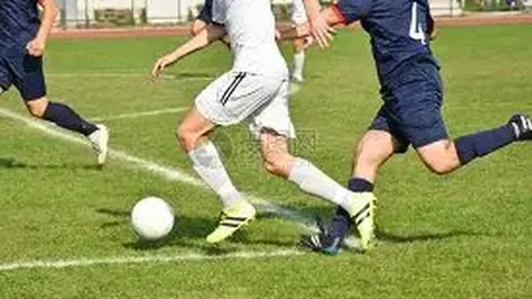 JBO竞博 资讯 135337 nvi